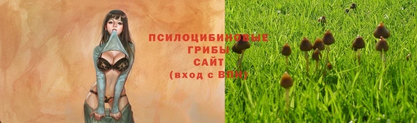 гашик Кинешма