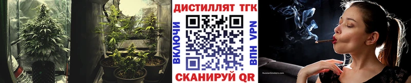 Купить где  Сухой Лог  ТГК вейп 