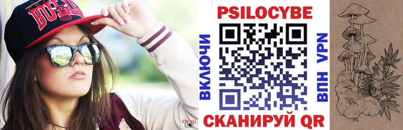 Купить где  Сухой Лог  Галлюциногенные грибы Psilocybine cubensis 